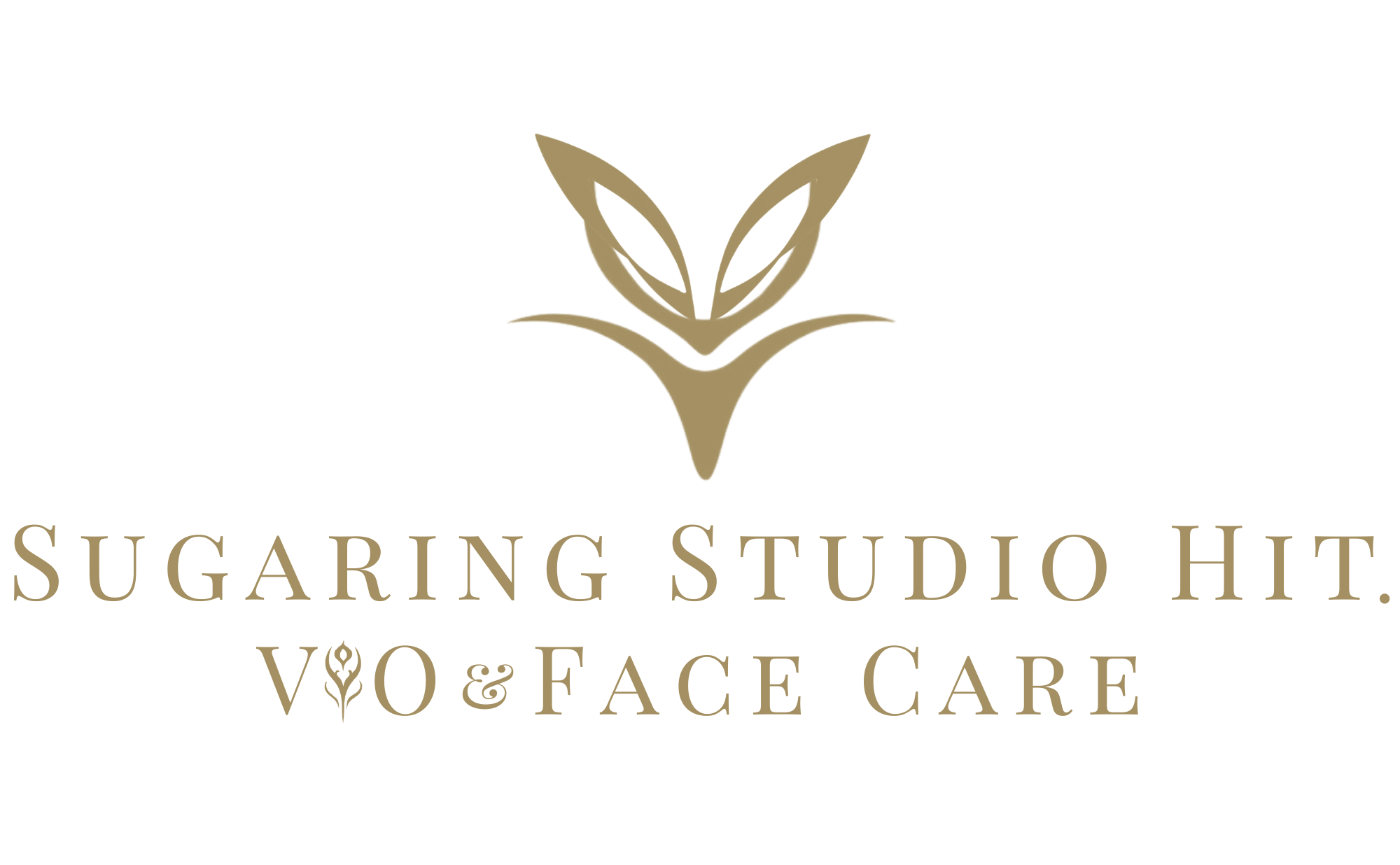 豊橋のVIO黒ずみ・顔の産毛除去専門|肌質管理の隠れ家 Sugaring Studio Hit.